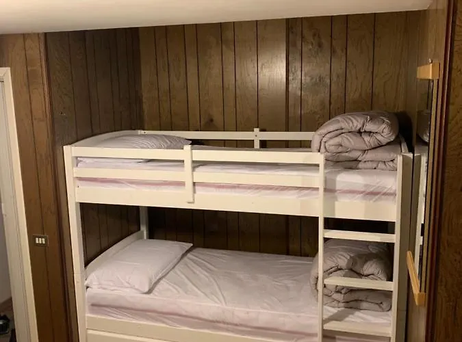 Monolocale Sulle Piste Del Cervino Rododendro *